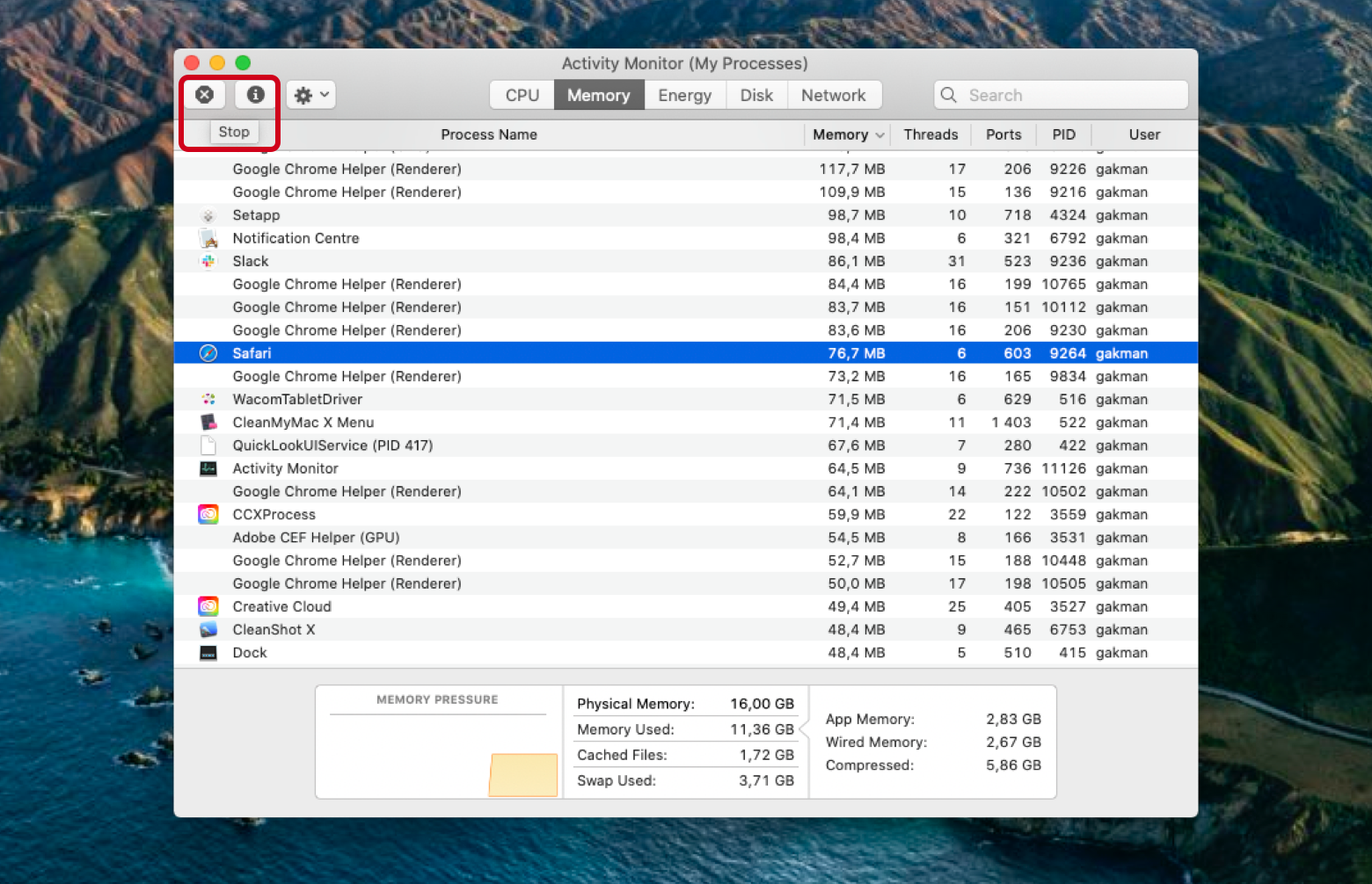 check for ram in mac